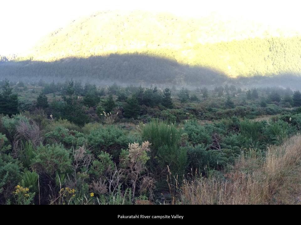 03.jpg (89610 bytes)